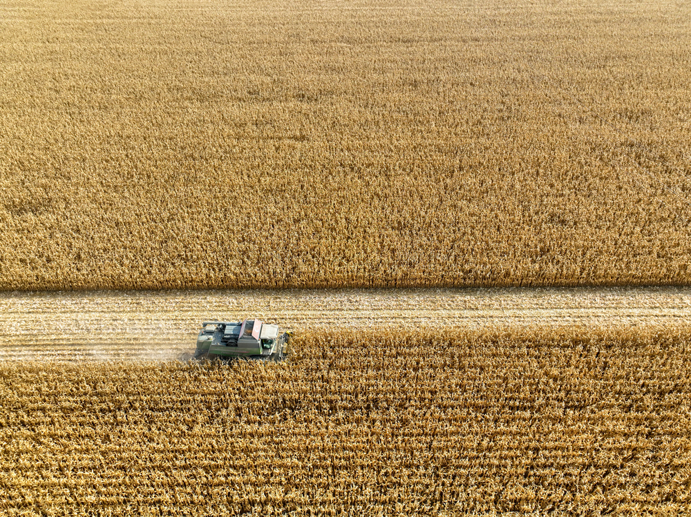 Clube Agro Brasil transforma compras em pontos para agricultor adquirir  produtos - Dinheiro Rural