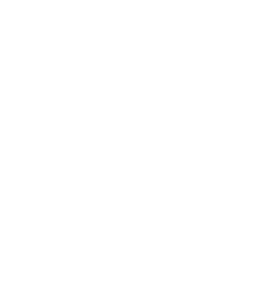g1